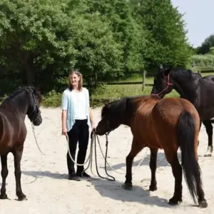 Pferde-Coaching Expertin von triup bei der Führungskräfteentwicklung mit drei Pferden als unbestechliche Spiegel für nonverbale Kommunikation.